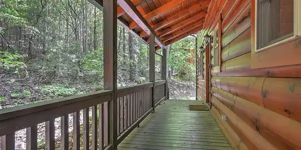 Image 4: 375 Cabin Lake DST-4