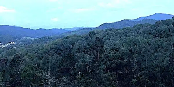 Image 2: Burleson Laurel Highlands 84 acres 3