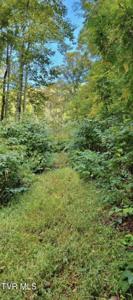 Tbd Whitehead Hollow Road