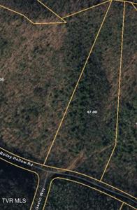 Lot 4 Bailey Hollow Road