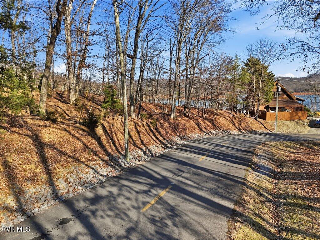 Image 4: 339 Chelaque Way - 4