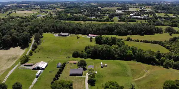 Image 3: DJI_0950