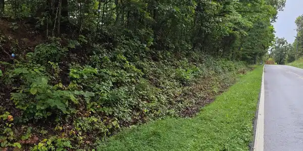 Image 2: 20260804_153736