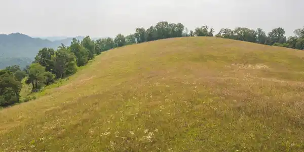 Image 3: DJI_0785