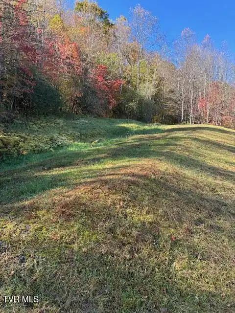 Image 1: 2