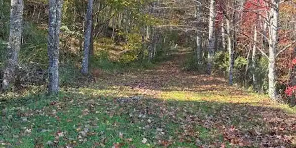 Image 3: 3