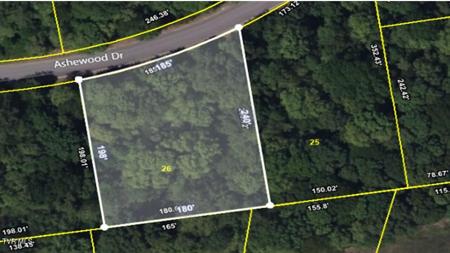 116 Ashewood Drive