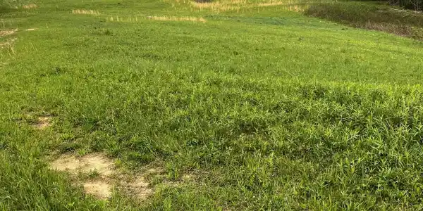 Lot 3 Walnut Mountain Road