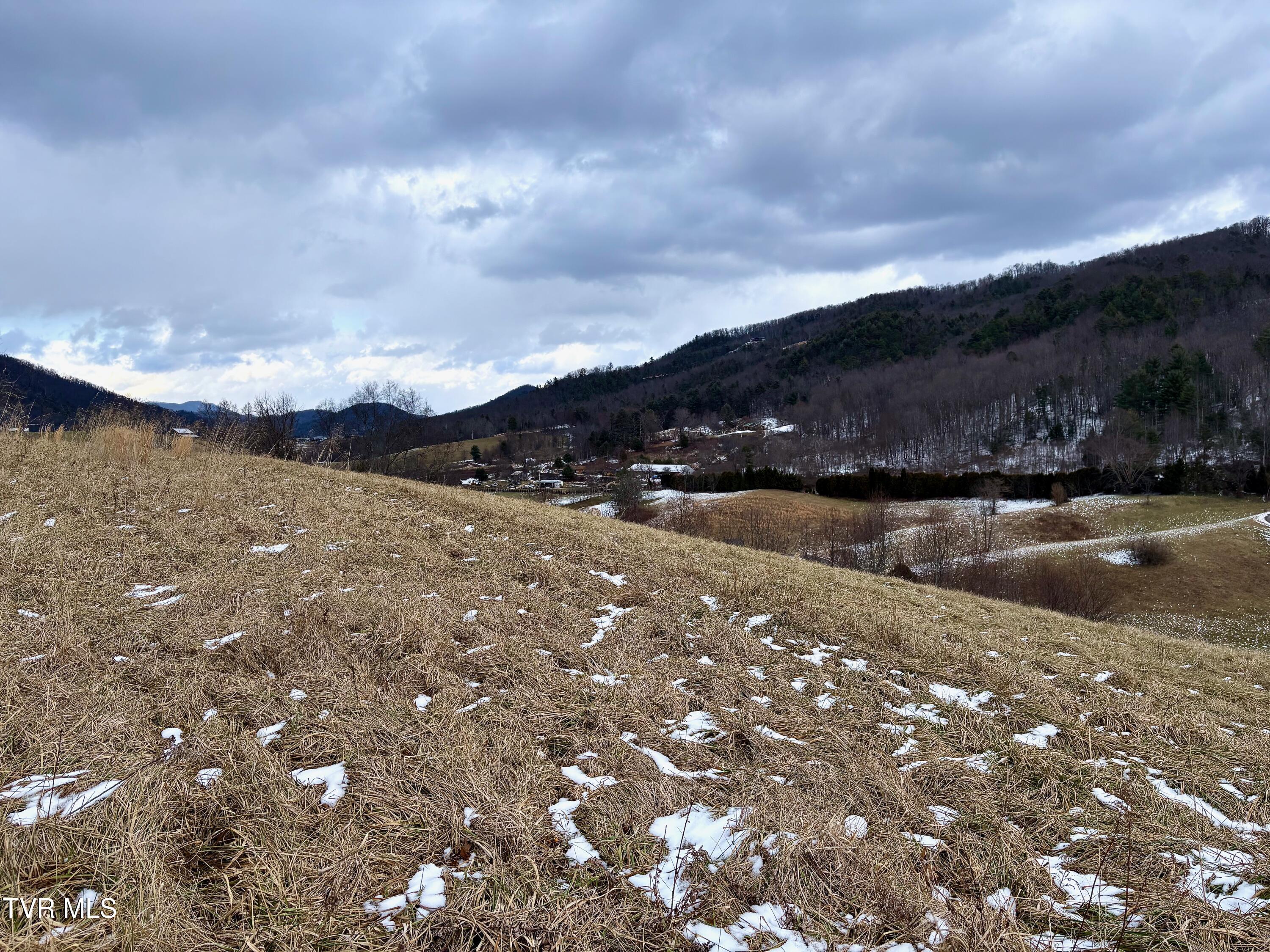 Image 3: IMG_6979
