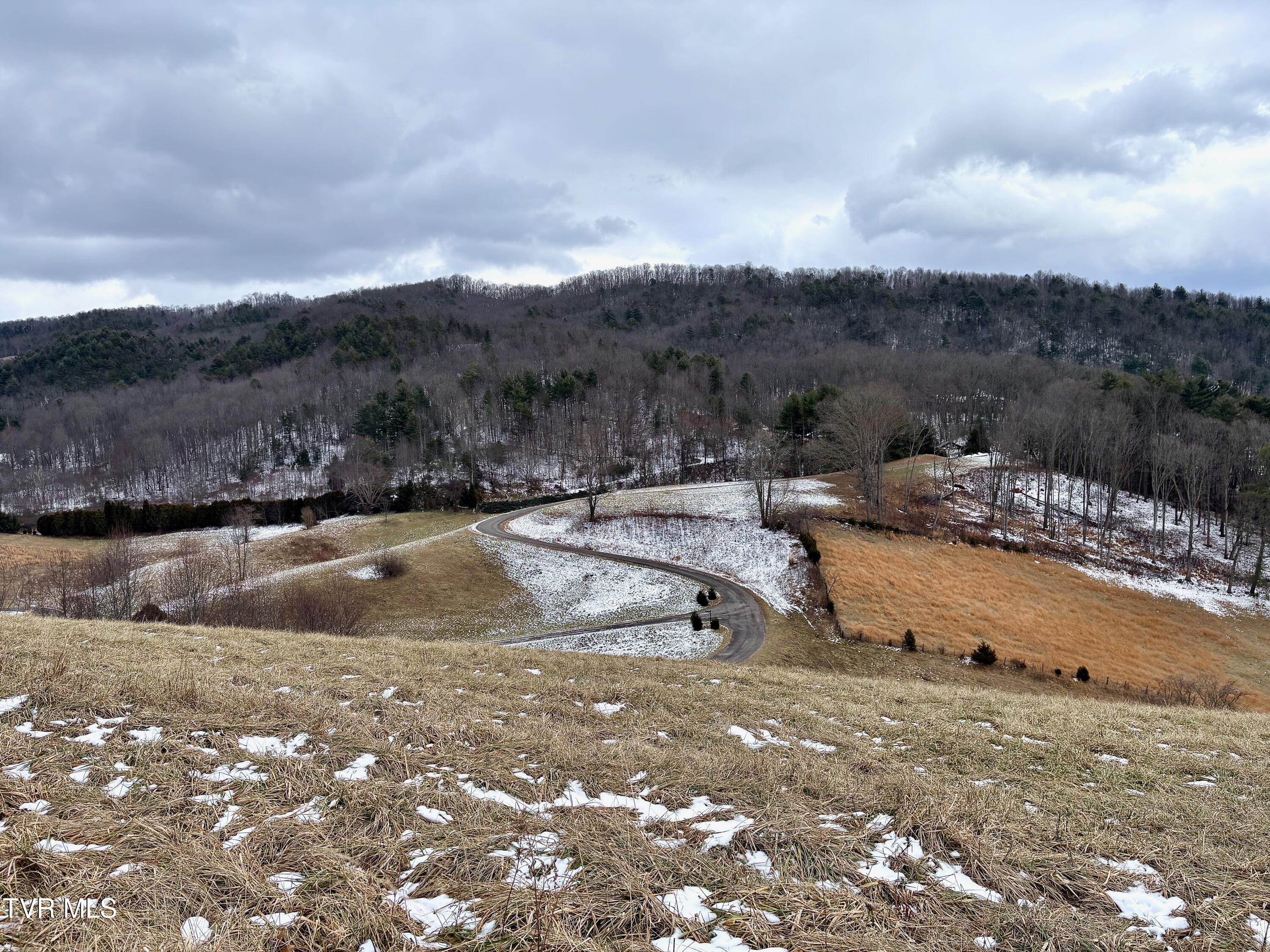 Image 4: IMG_6980