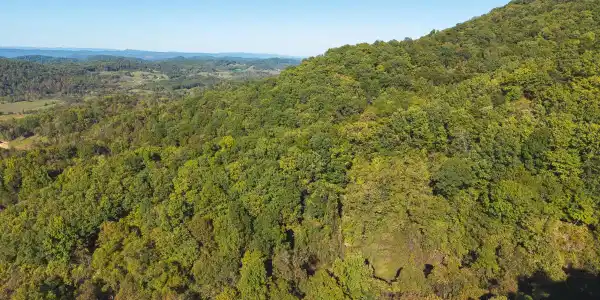 69.26 Acre Wolfe Road
