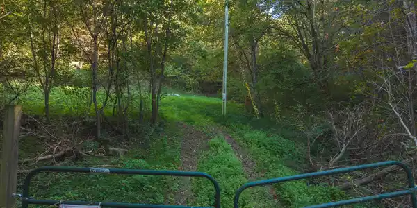 Image 3: DJI_20251001163340_0405_D