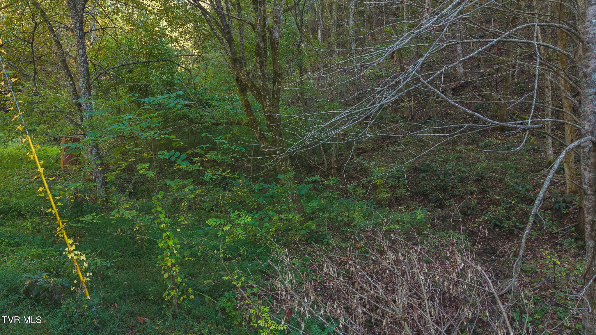 Image 4: DJI_20251001163354_0406_D