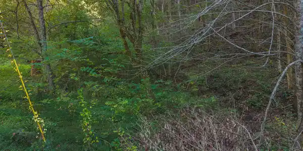 Image 4: DJI_20251001163354_0406_D