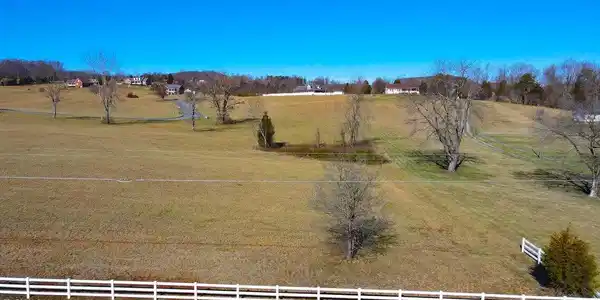 Image 2: 20220131144716055983000000-o
