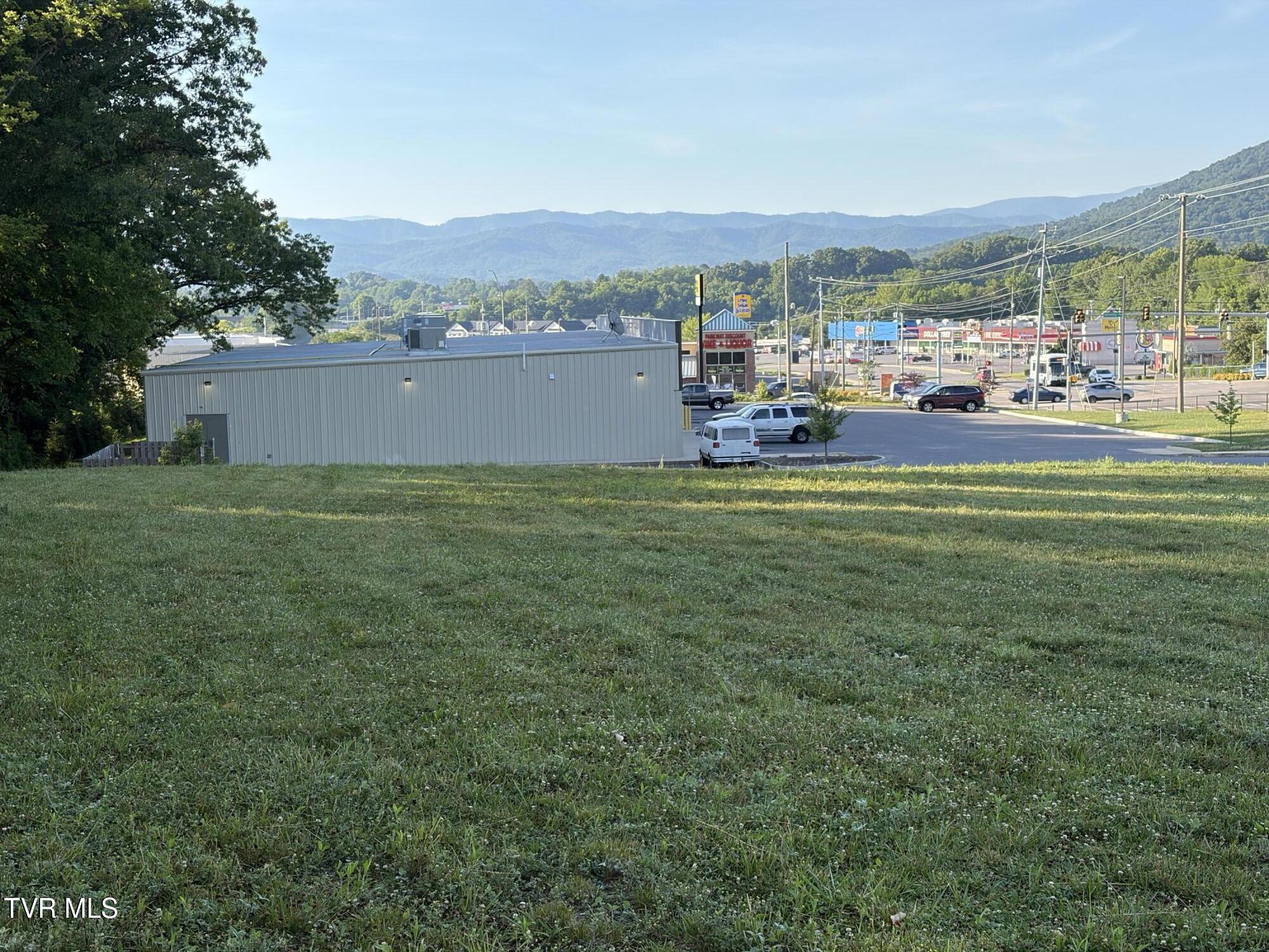 Image 2: IMG_4461