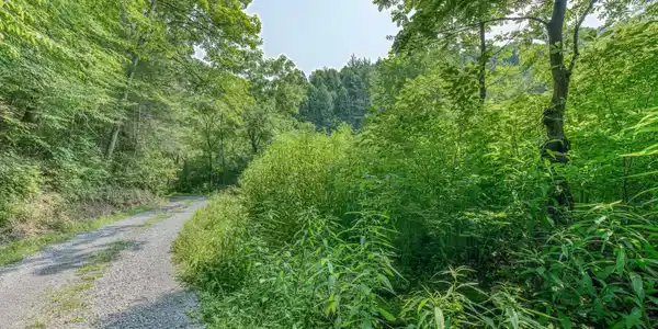 Image 2: 119 Alice Johnson Rd-13