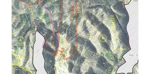 Image 2: TAX MAP WITH PROPERTIES HIGHLIGHTED