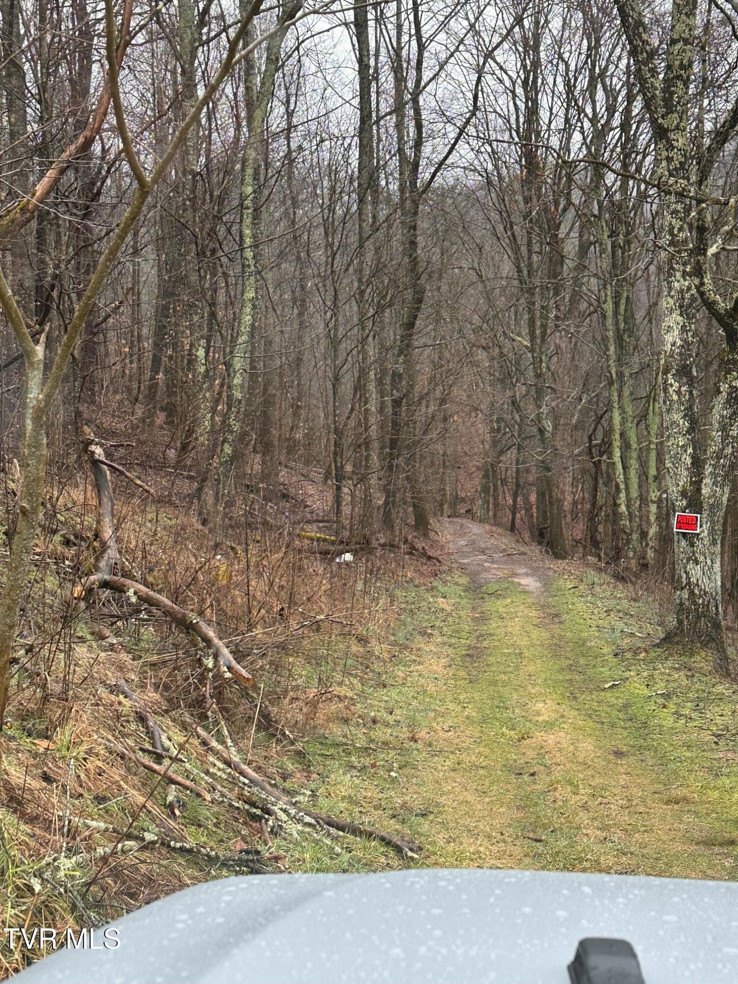 Image 3: tempImage1IVV33