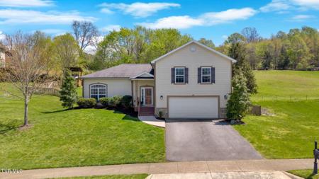 55 Azalea Ridge