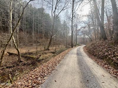 Tbd Yellow Branch Rd