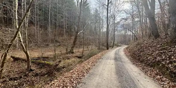 Tbd Yellow Branch Rd