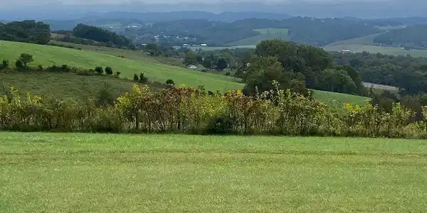 Image 2: priceless view