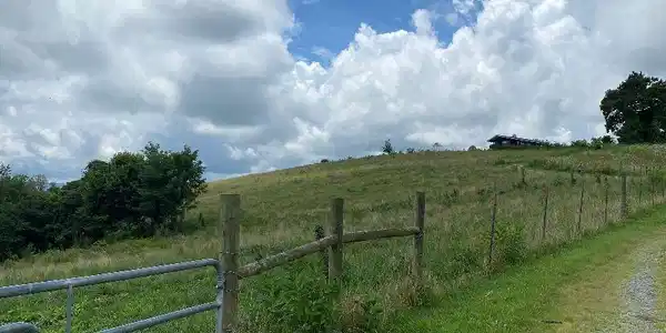 Image 3: Pasture and fence