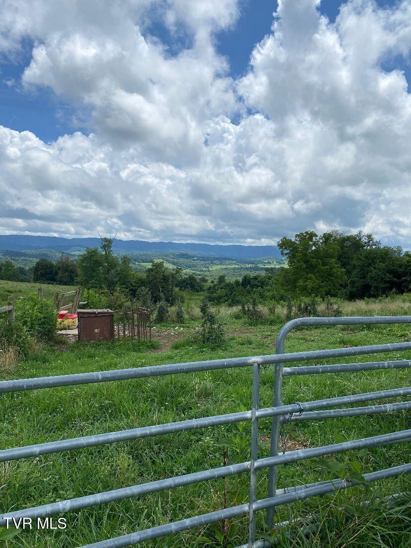 Image 4: water source for pasture