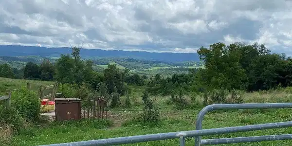 Image 4: water source for pasture