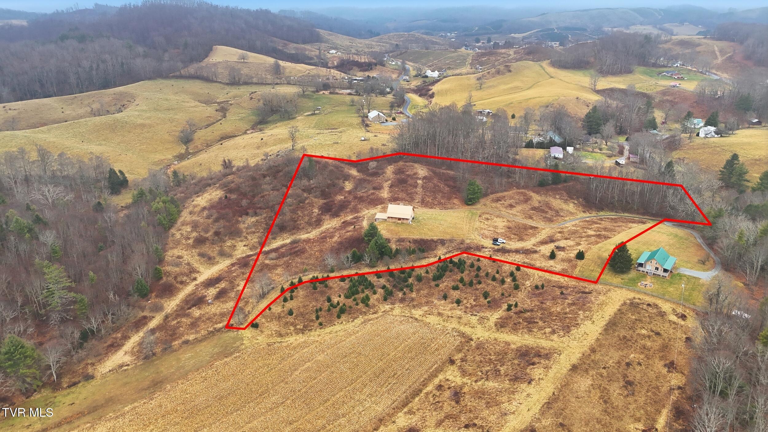 Image 4: 44_draw_11860685_1766844203822