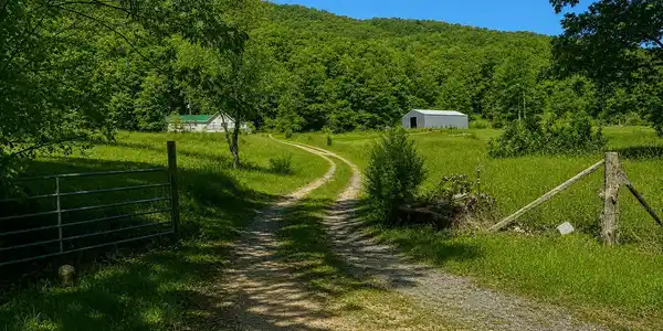 1393 Caney Valley Loop