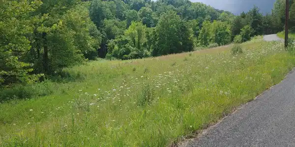Image 2: 0705261410 (1)