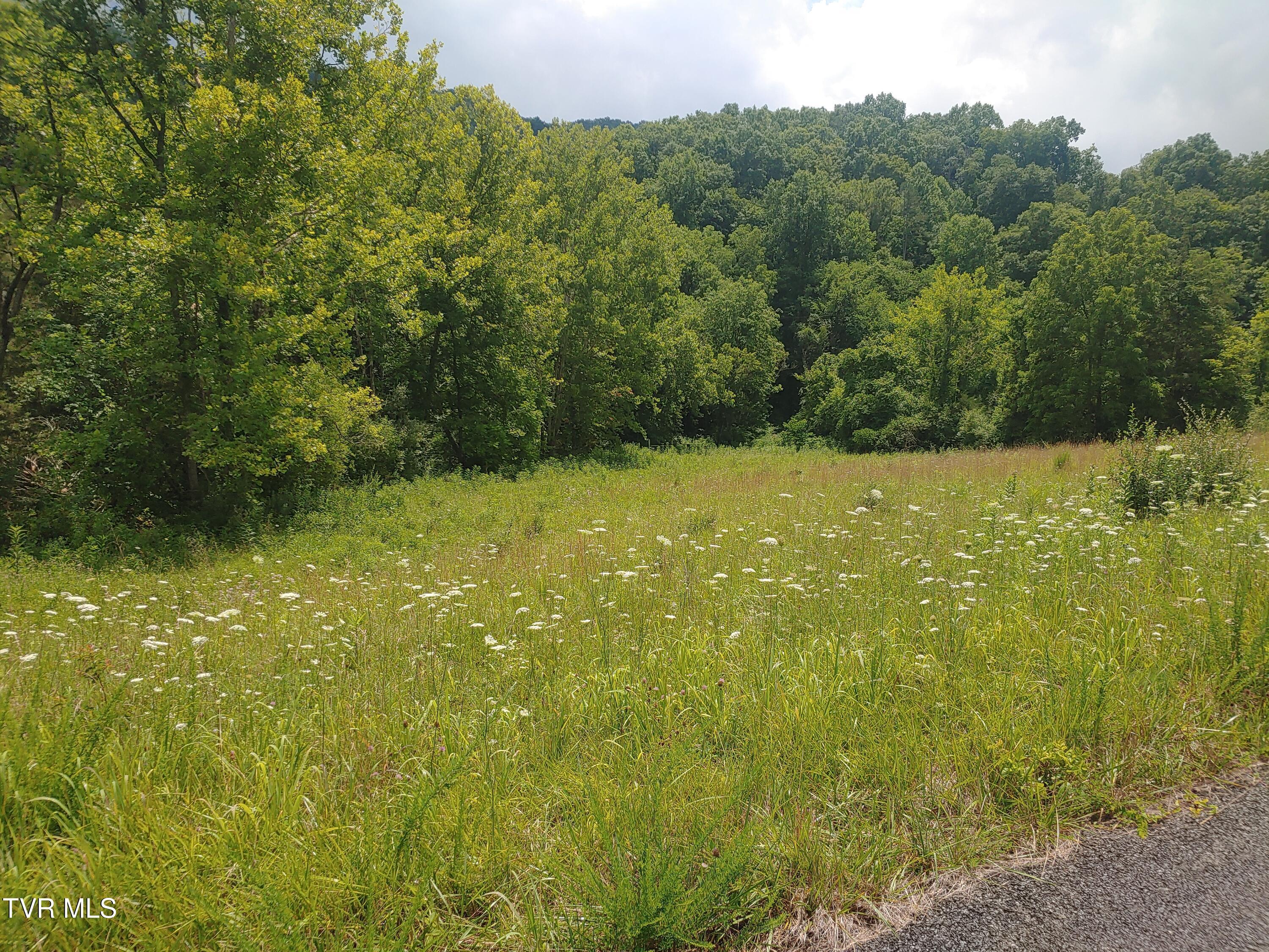 Image 3: 0705261410b
