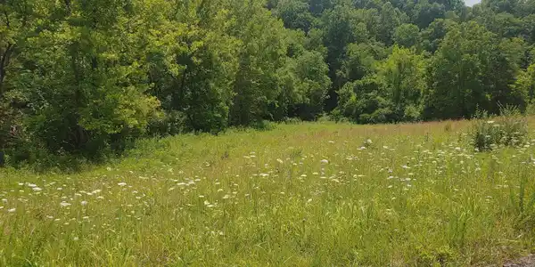 Image 3: 0705261410b