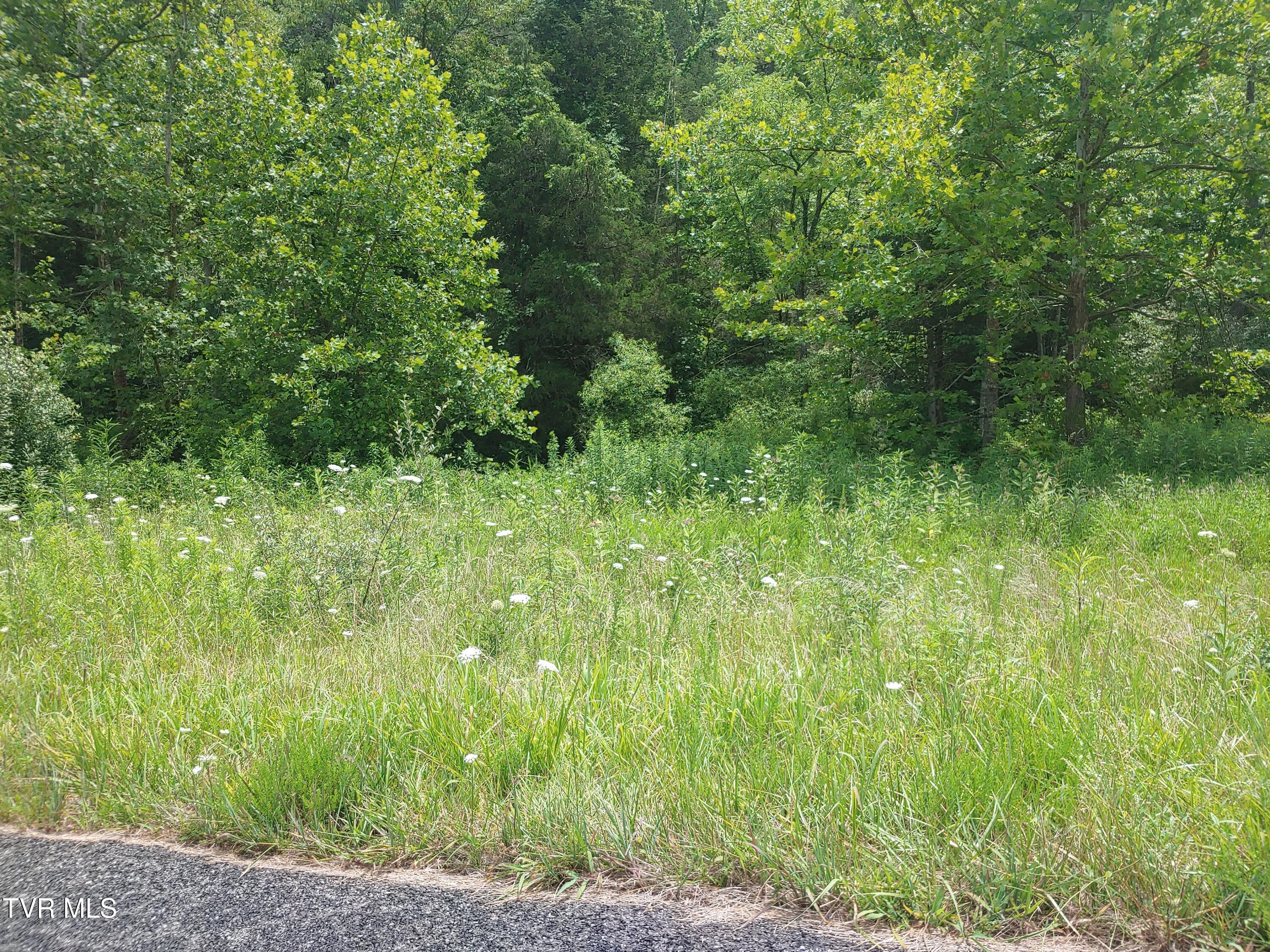 Image 4: 0705261410a