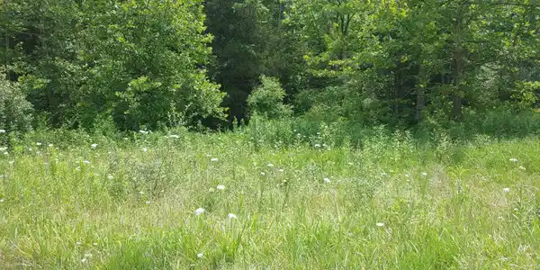 Image 4: 0705261410a