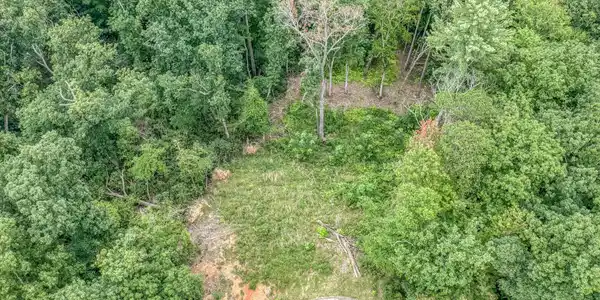 Image 3: 129 Mountain Laurel Ct-3