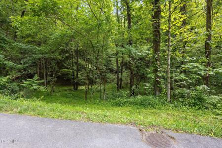 Tbd Rich Hollow Road