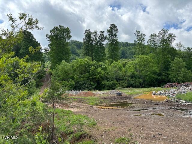 Image 4: image1 - 2025-05-21T135316.292