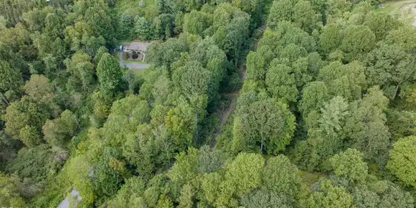 Image 3: dji_fly_20250821_161036_0432_17558069639