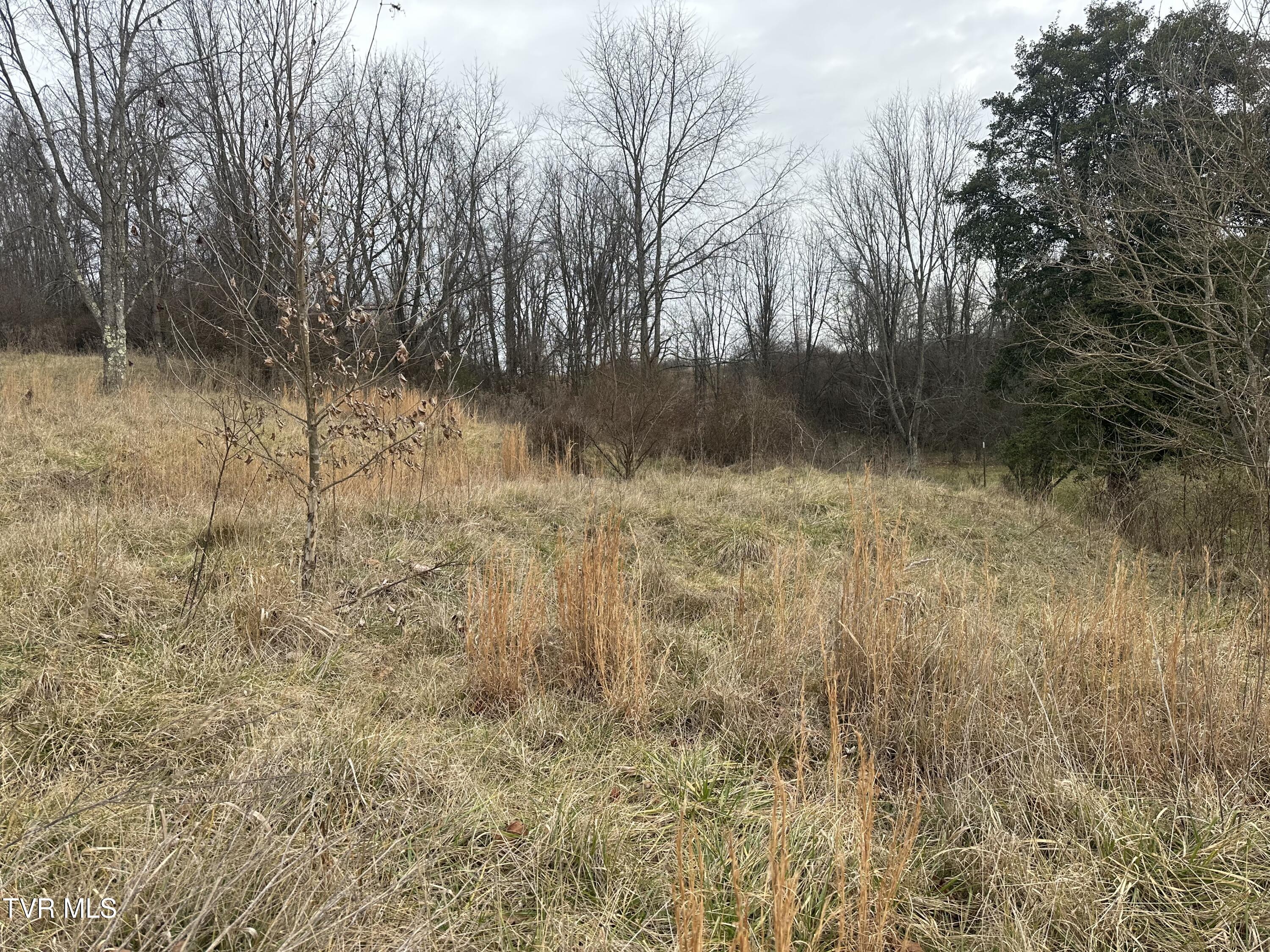 Image 2: IMG_0697