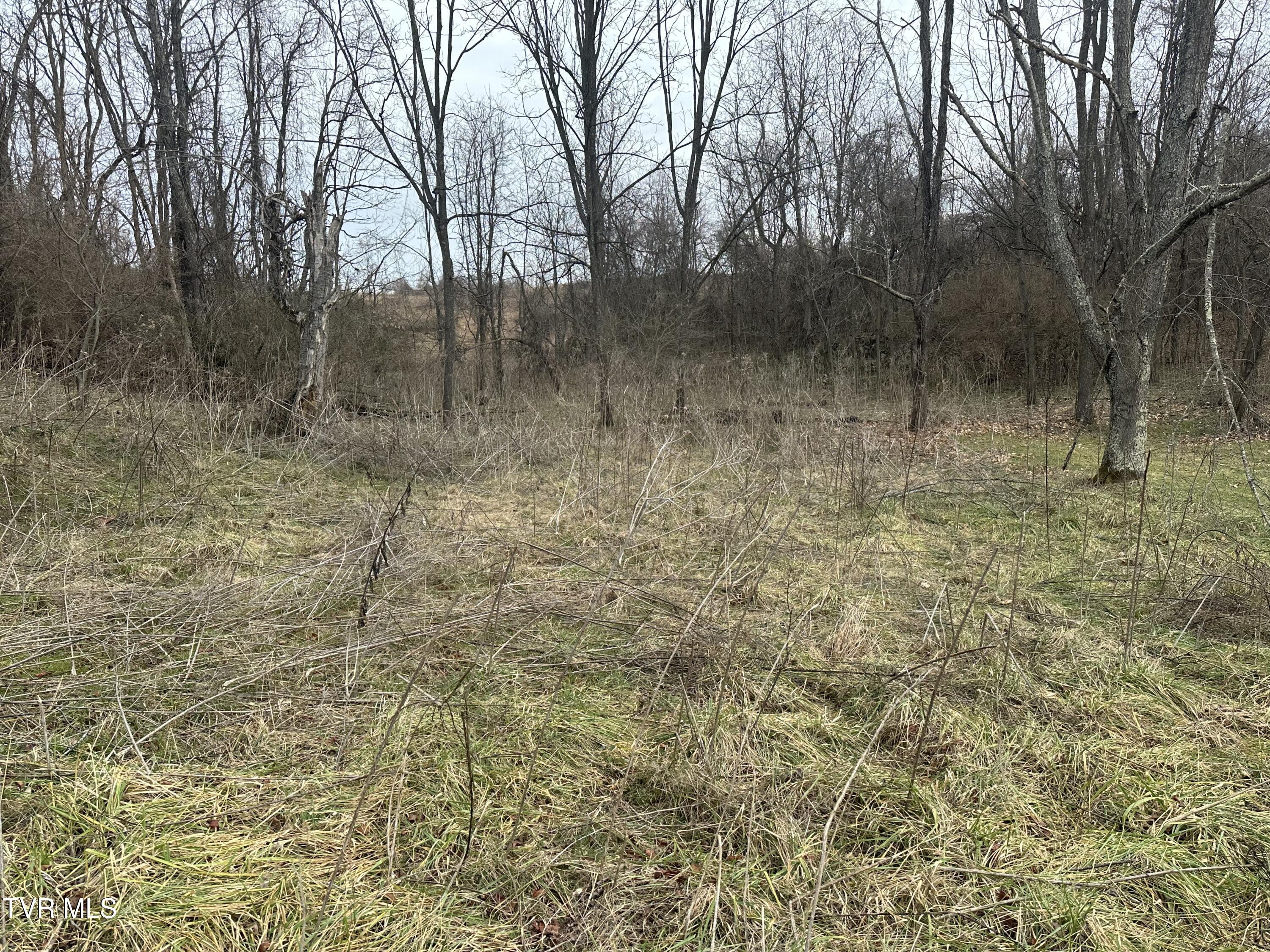 Image 4: IMG_0701