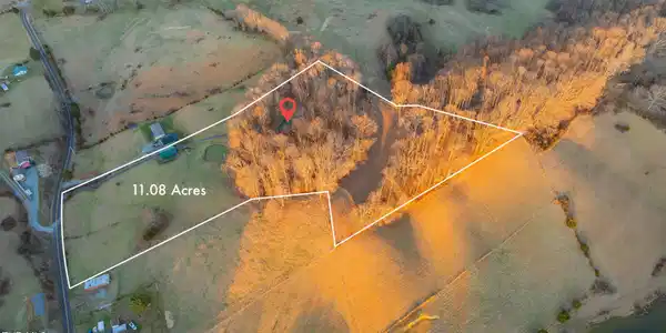 Image 3: Overview