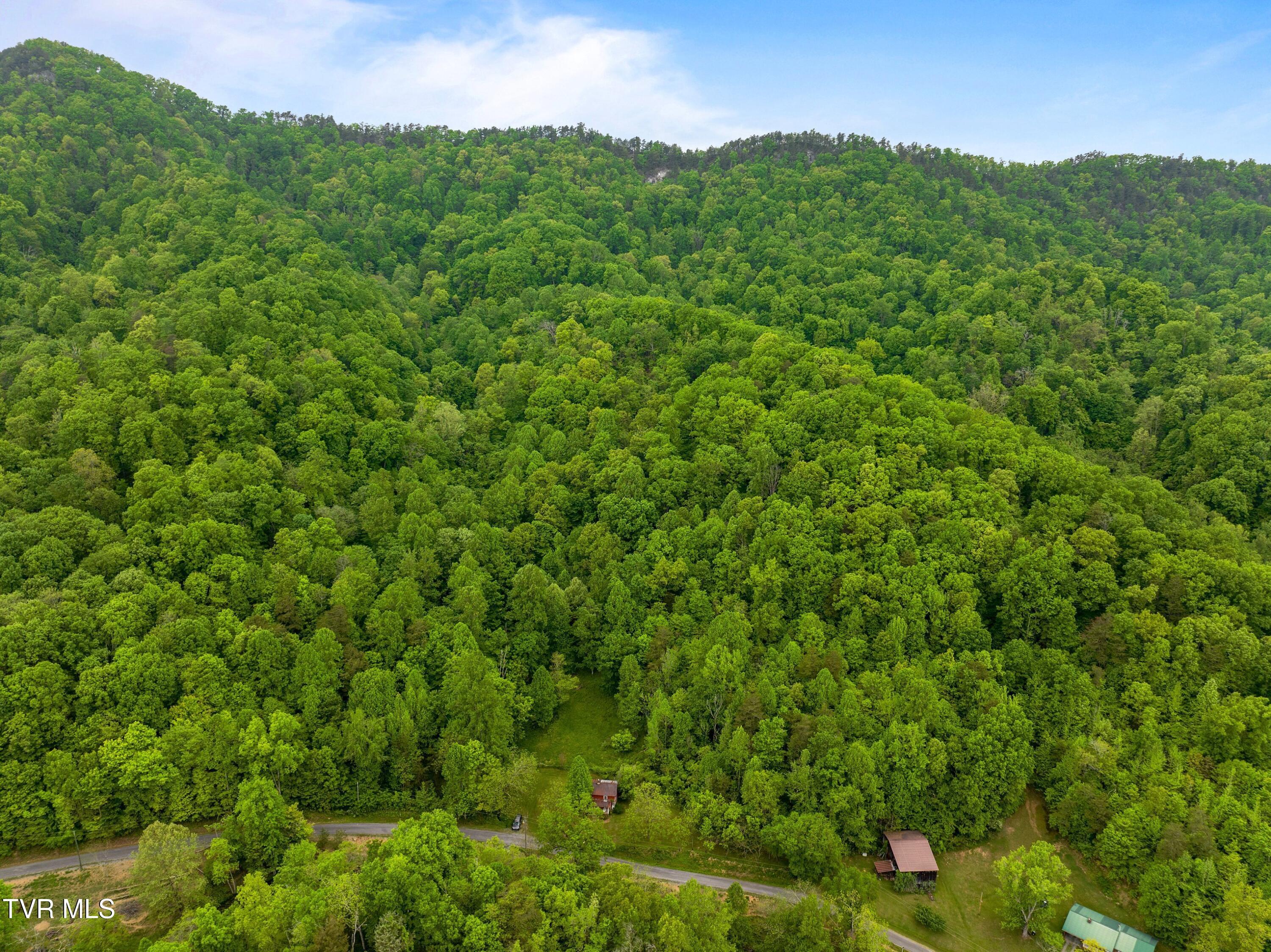 Image 2: 010-875SandyValleyRoad-Rogersville-TN-37