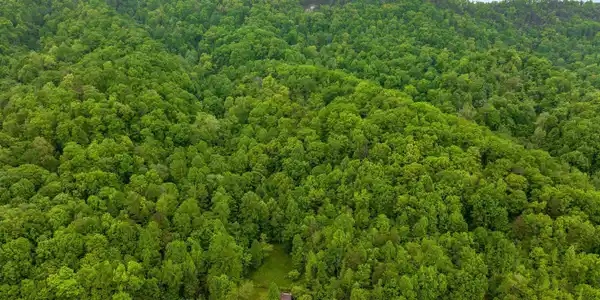 Image 2: 010-875SandyValleyRoad-Rogersville-TN-37