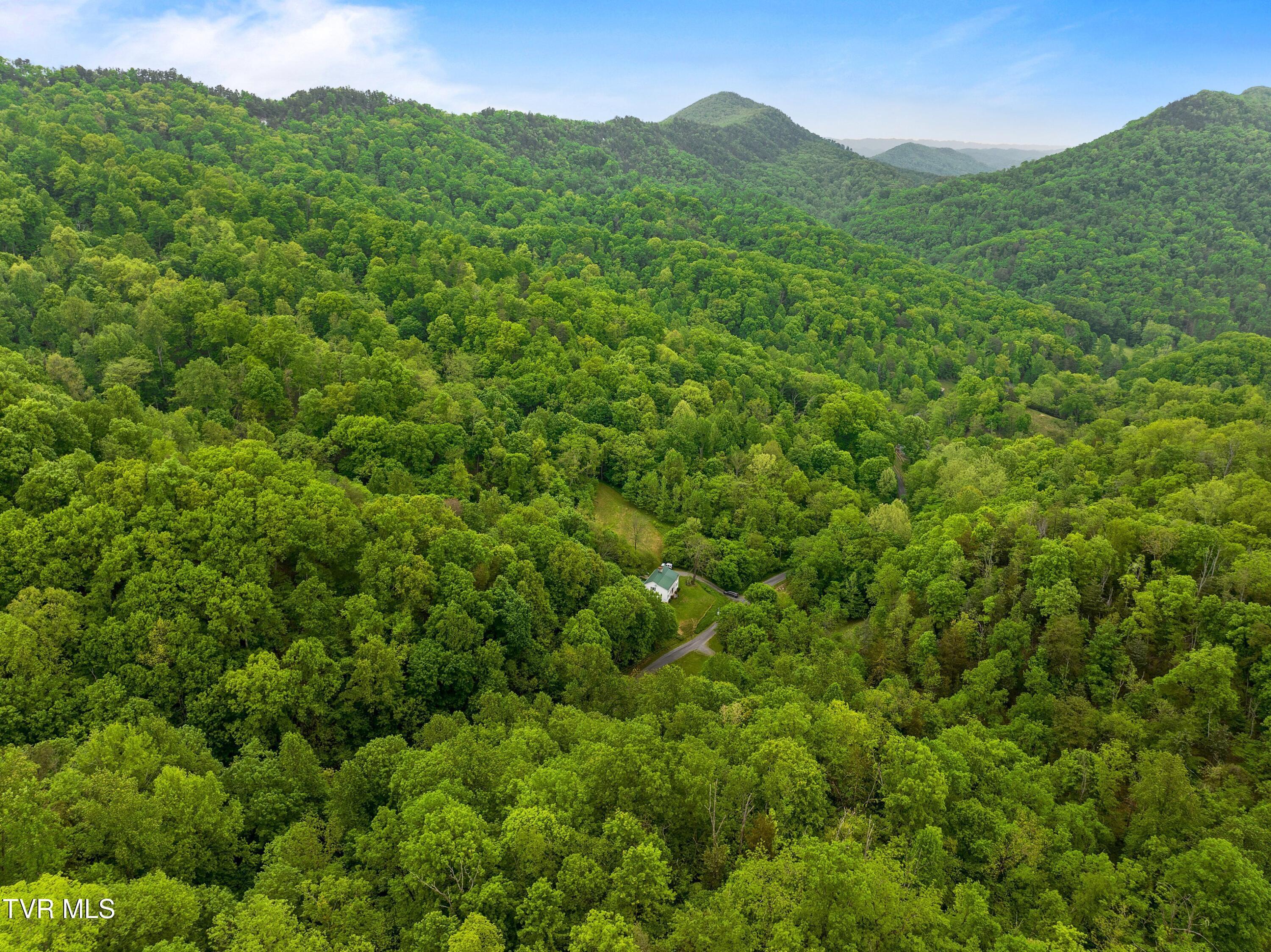 Image 3: 021-875SandyValleyRoad-Rogersville-TN-37