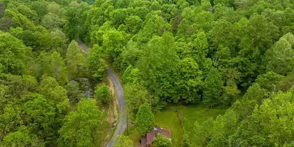 Image 4: 022-875SandyValleyRoad-Rogersville-TN-37