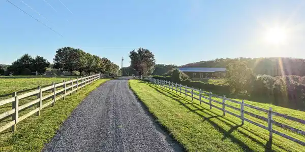 Image 3: 2.5 (2)