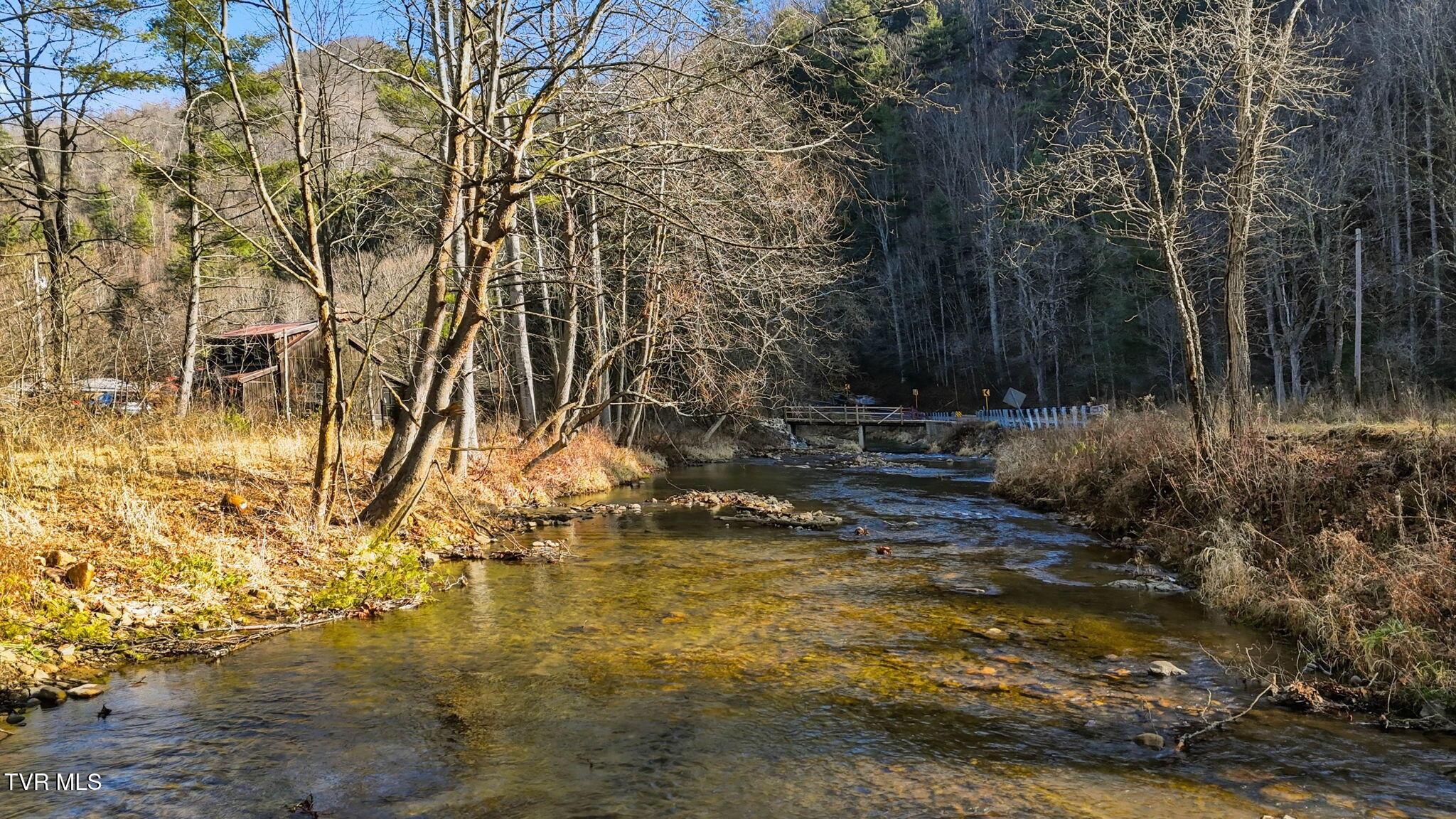Image 3: IMG_0126